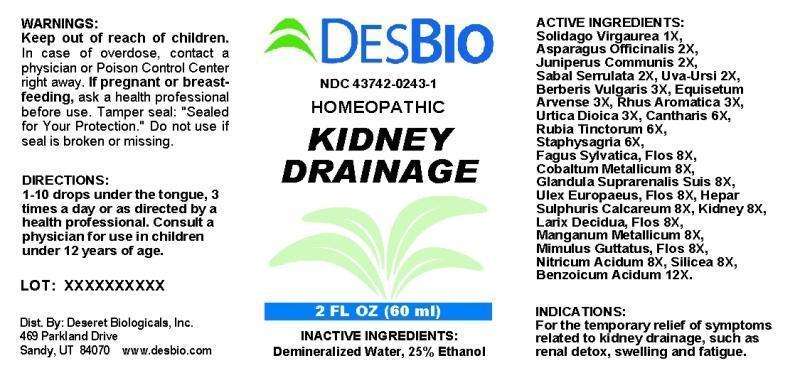 KIDNEY DRAINAGE